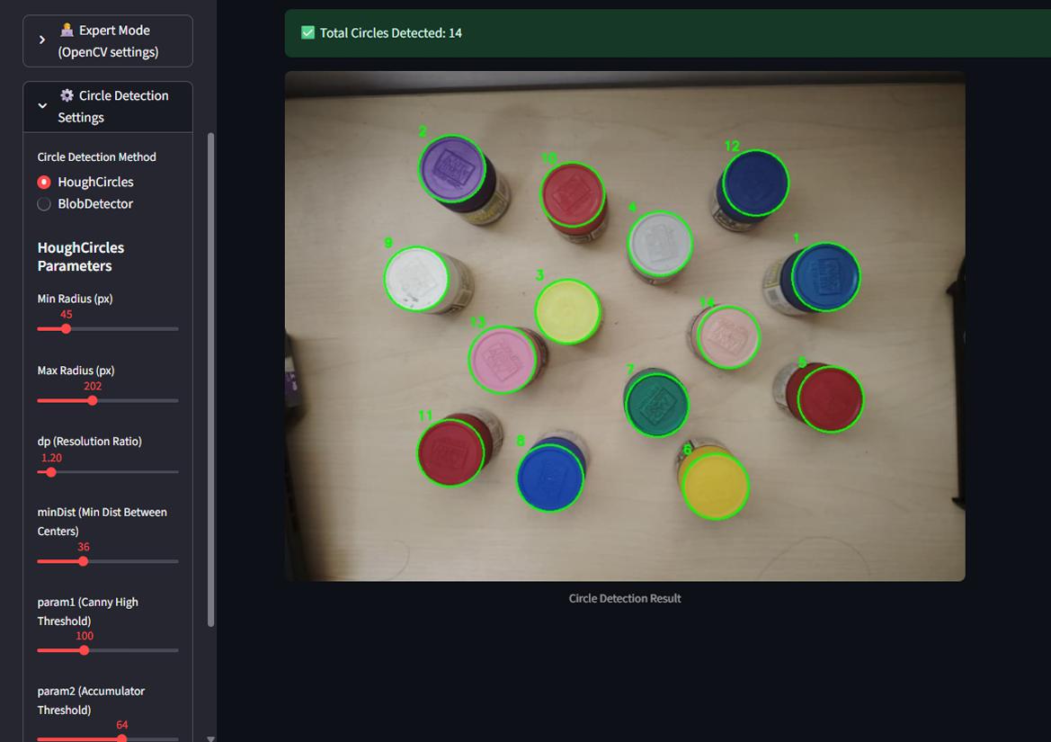 Circle Detection Output