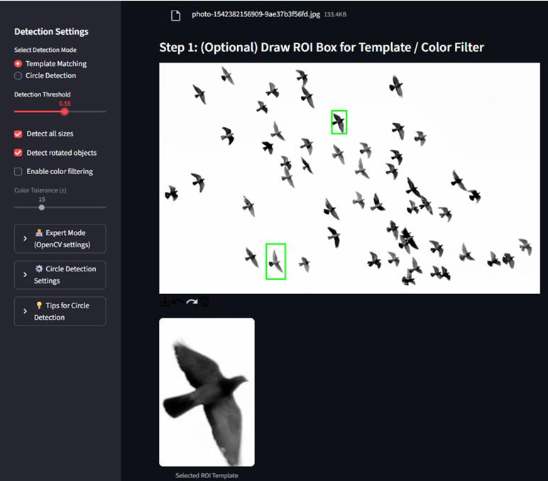 Bird Template Matching 1